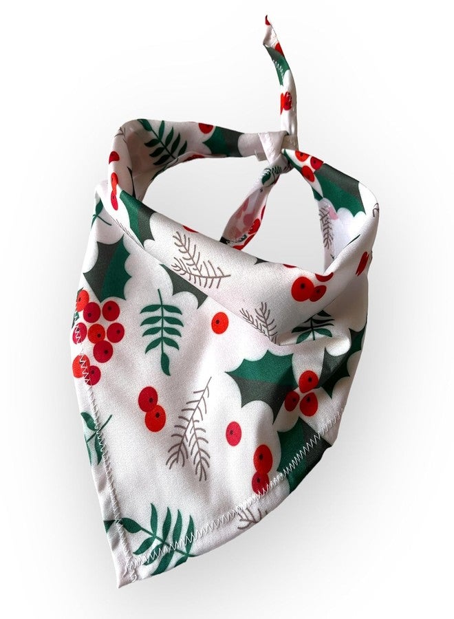 دبليو وشاح للكلاب بتصميم شجرة عيد الميلاد من W Brings | هذا الوشاح الرائع بتصميمه المذهل هو الإكسسوار المثالي للكلاب الكبيرة والمتوسطة والصغيرة. مقاس واحد يناسب الجميع. - Image 4